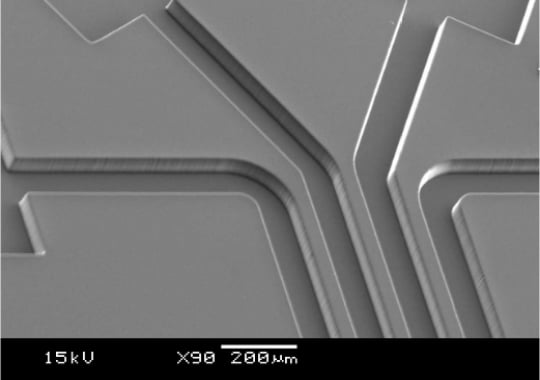 Fine molding on the order of micrometers