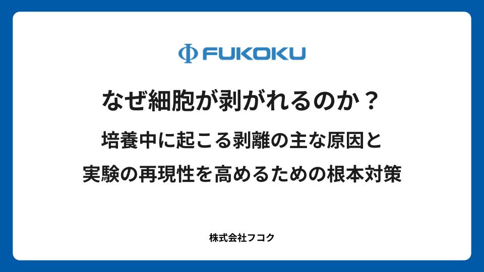 なぜ細胞が剥がれるのか?培養中に起こる剥離の主な原因と実験の再現性を高めるための根本対策